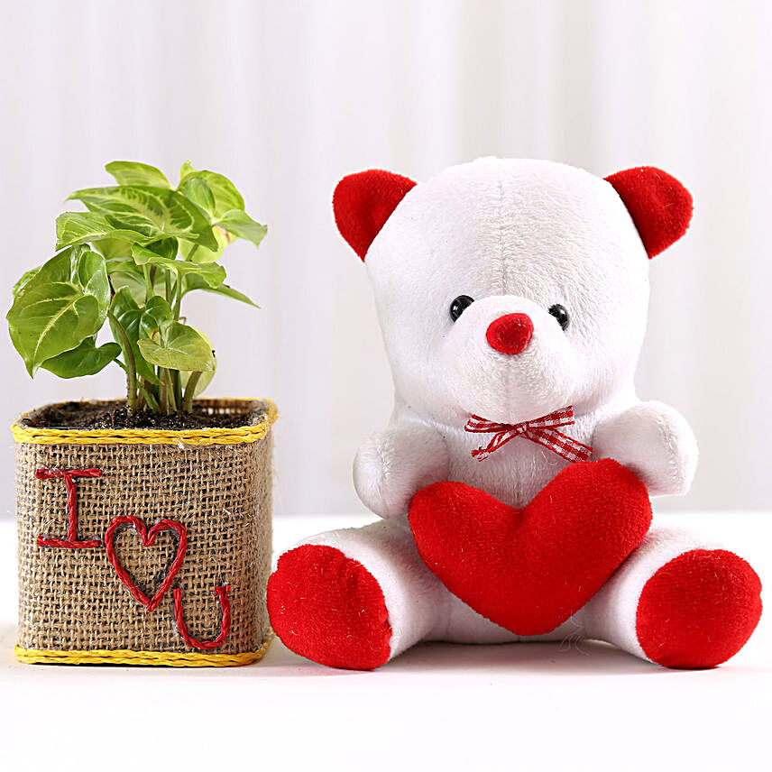 Teddy Bear N Plant Combo:Hug Day Soft Toys
