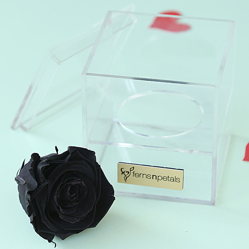 Black Jade- Forever Black Rose in Acrylic Box