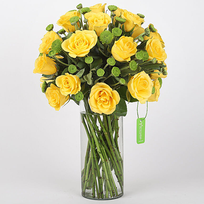 Yellow Roses & Green Daisies Cylindrical Vase