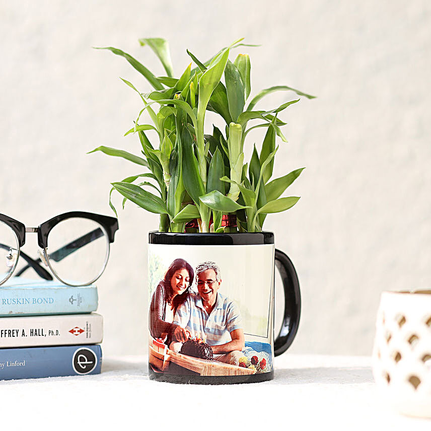 Personalised Lucky Bamboo In Black Mug