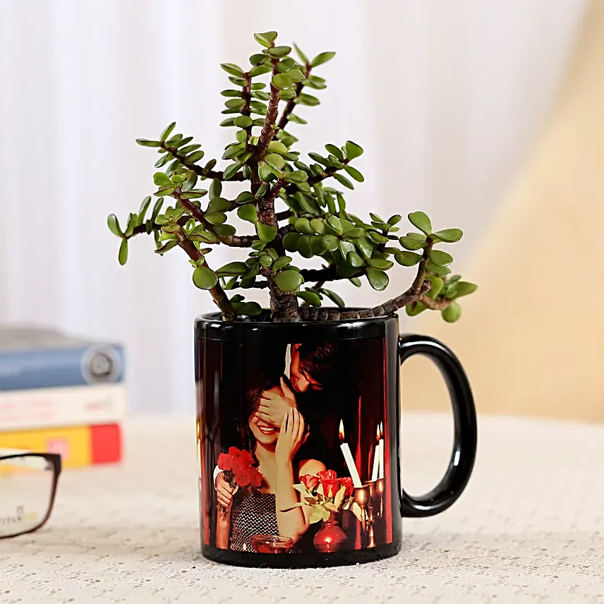 indoor plant in black photo mug