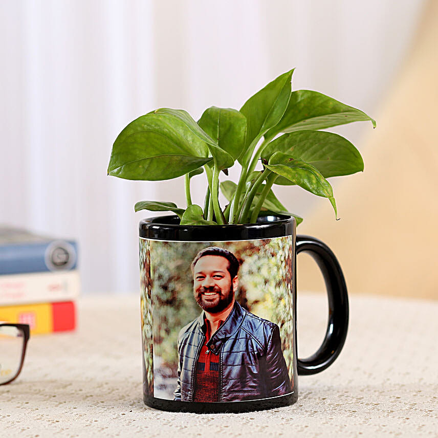 Money Plant In Stylish Personalised Mug