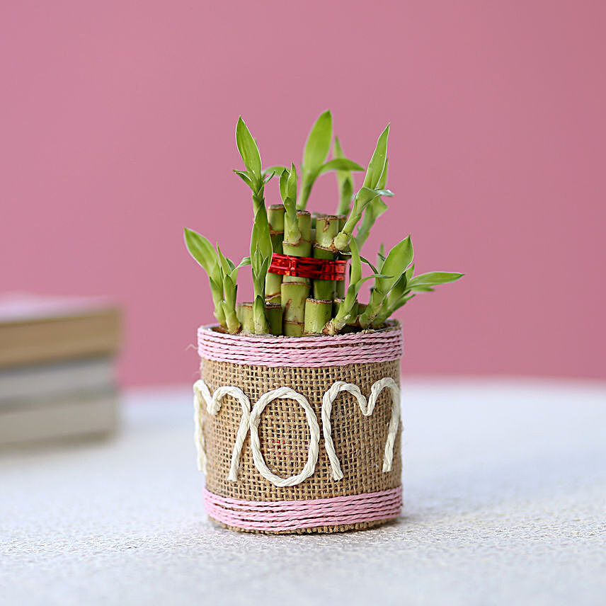 Lucky Bamboo for mom:Mothers Day Gifts to Ahmedabad