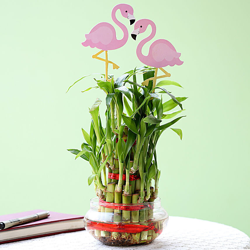 3 Layer Bamboo Plant With Flamingo