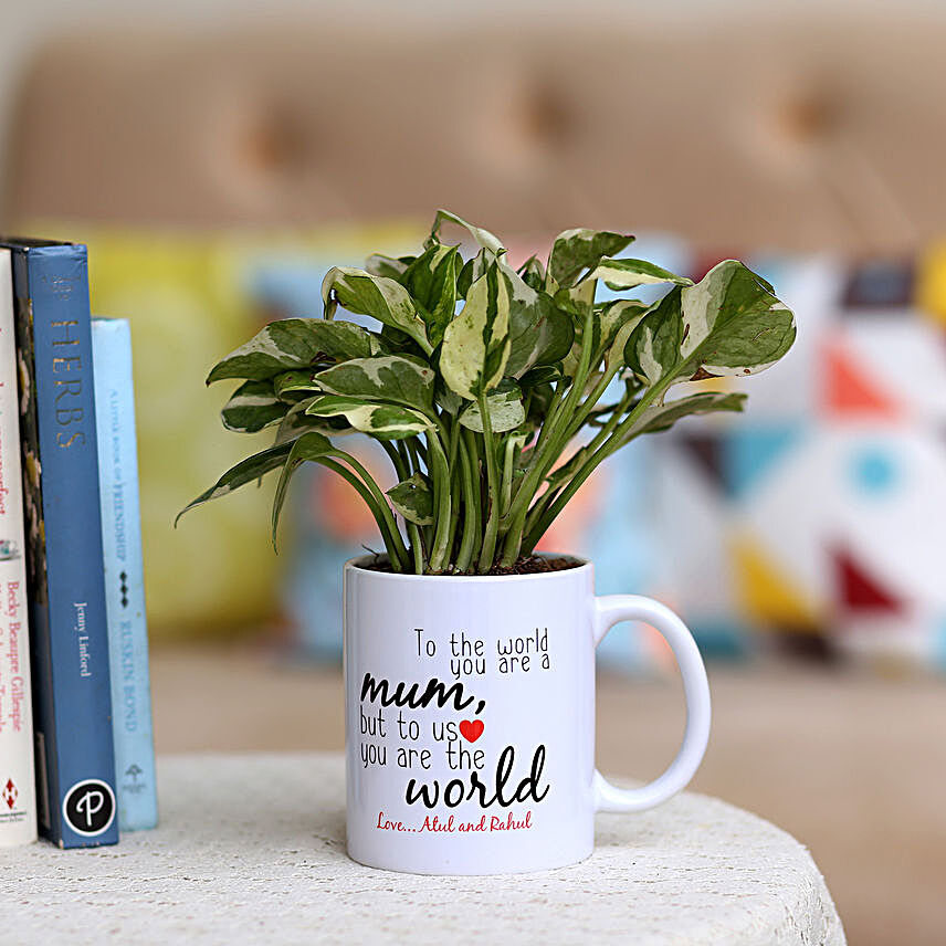happy mothers day plant n printed mug:Mothers Day Personalised Pot plants