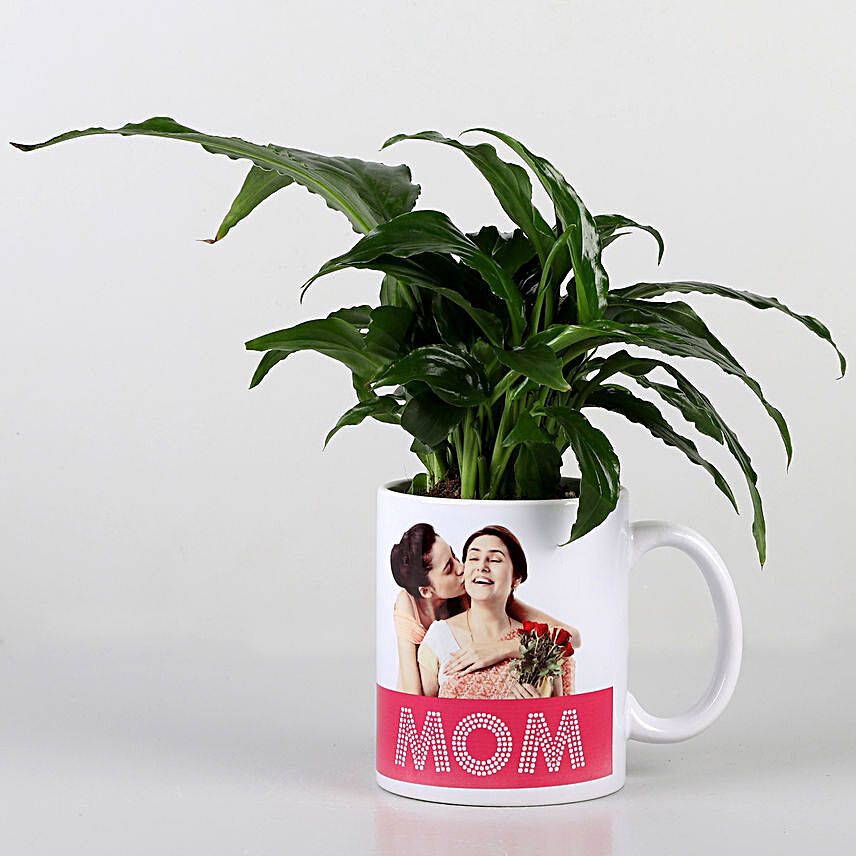 green plant in printed mug for mom:Buy Flowering Plants