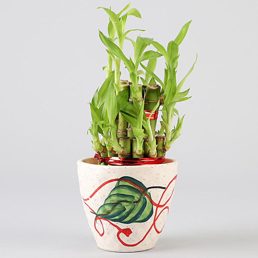2 Layer Bamboo In Printed Ceramic Pot