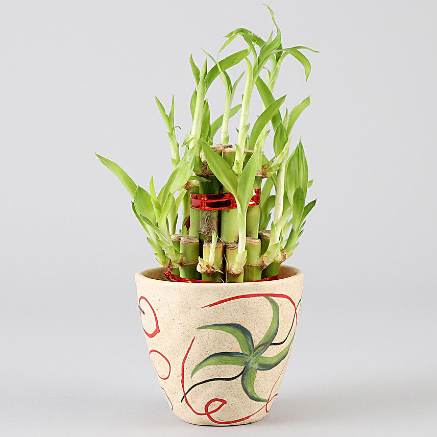 2 Layer Bamboo Plant In Ceramic Pot