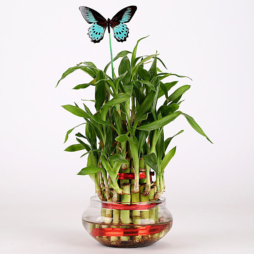 3 Layer Bamboo Plant With Butterfly