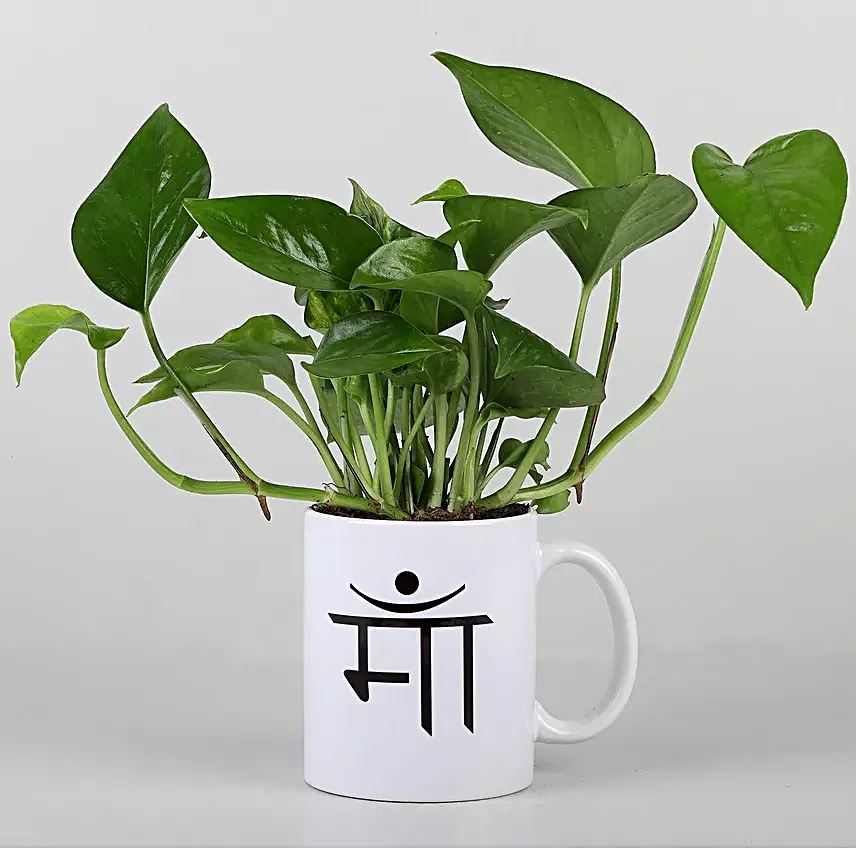 ma printed mug with money plant