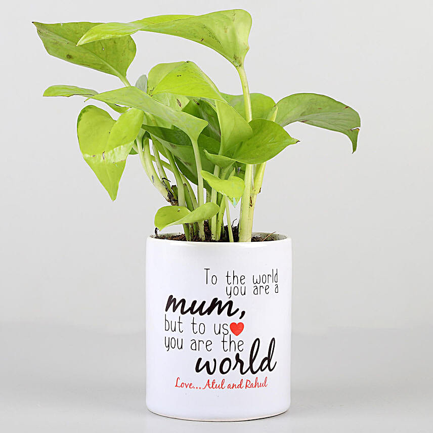 Money Plant In Printed Pot For Mom