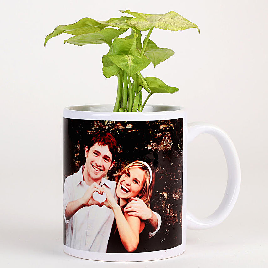 Syngonium Plant In White Personalised Mug