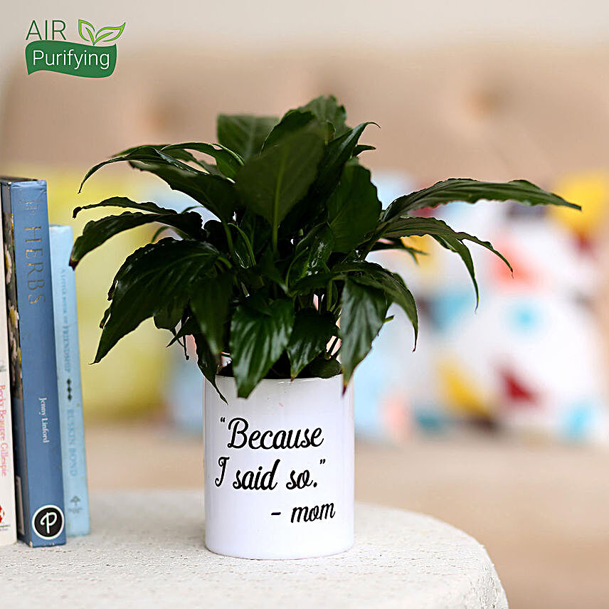 Peace Lily In White Printed Pot For Mom