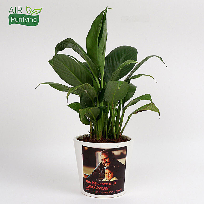 Attractive Personalised Peace Lily Plant