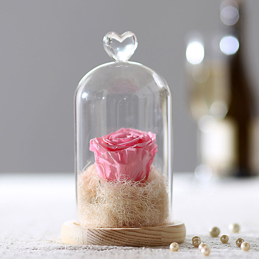 Forever Baby Pink Rose in Glass Dome