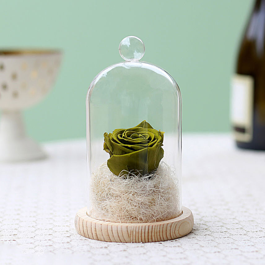 Forever Olive Green Rose In Glass Dome
