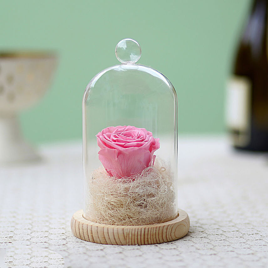 Baby Pink Forever Rose in Glass Dome