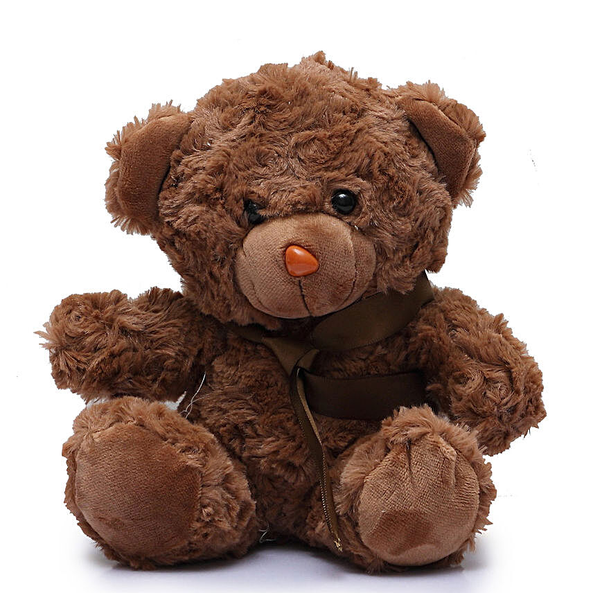 Huggable Furry Teddy Bear
