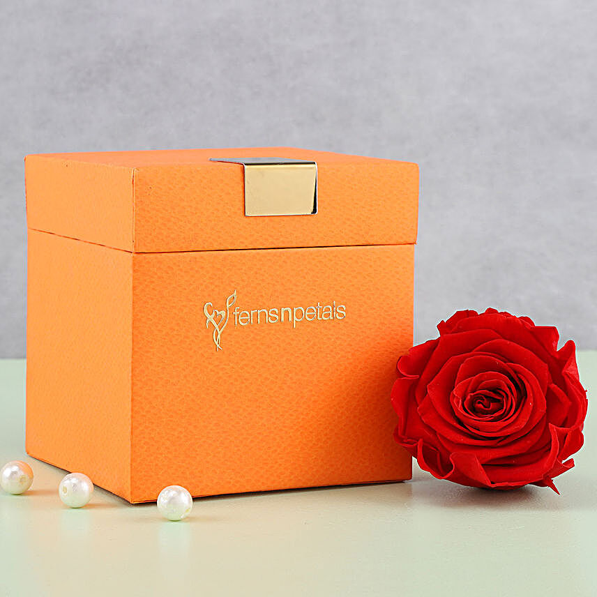 Timeless- Forever Red Rose in Orange Box