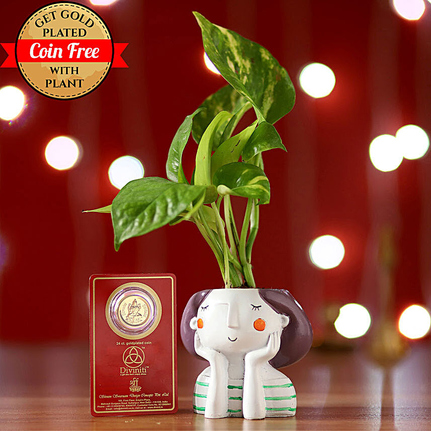 Money Plant & Free Gold Plated Coin