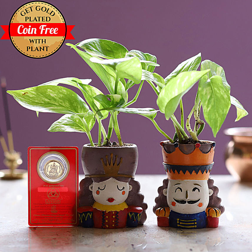 Money Plant Set & Free Gold Plated Coin