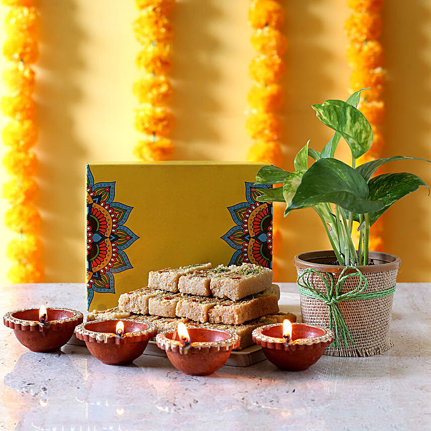 Money Plant & Milk Cake Diwali Combo