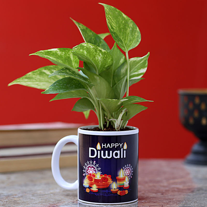 online printed mug with plant for him on diwali