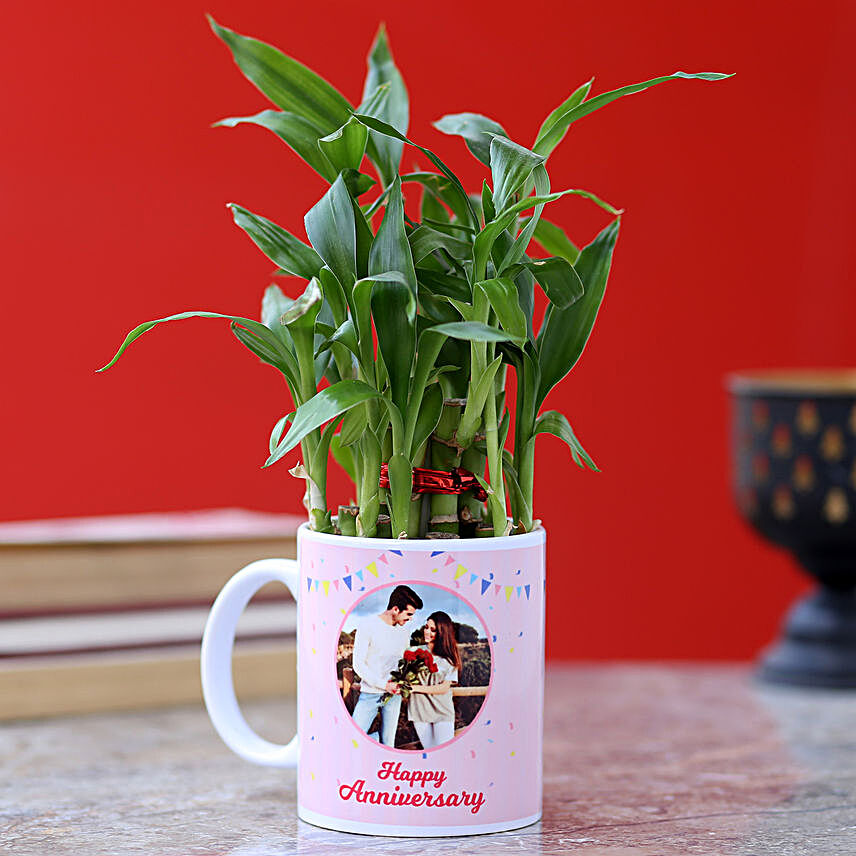 printed photo mug with bamboo plant for him online:Plants for Anniversary