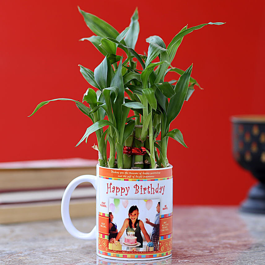 printed mug with bamboo plant for him online:Buy Personalised Planter