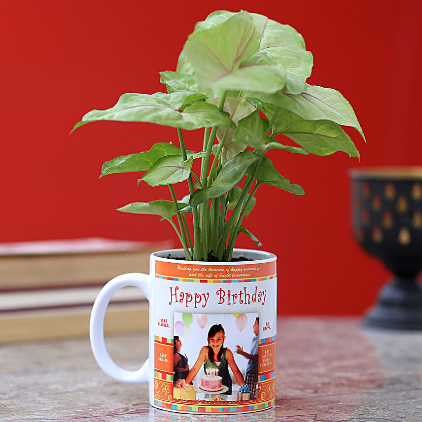 printed mug with syngonium plant for birthday:Plants in Personalised Mugs