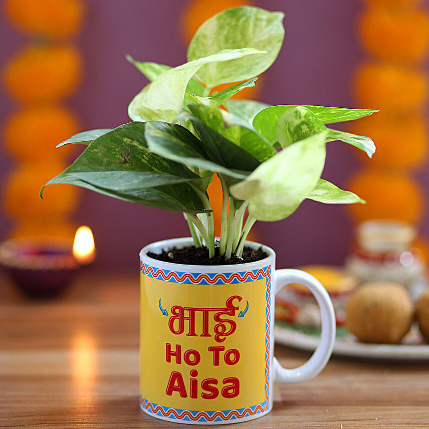 Plant in Printed Mug for Brother Online