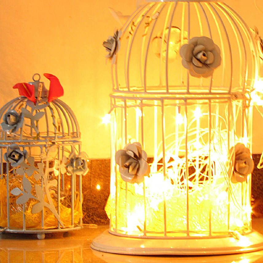 Artistic Birdcage With Fairy Lights