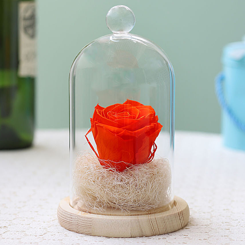 Orange Flame Forever Rose in Glass Dome