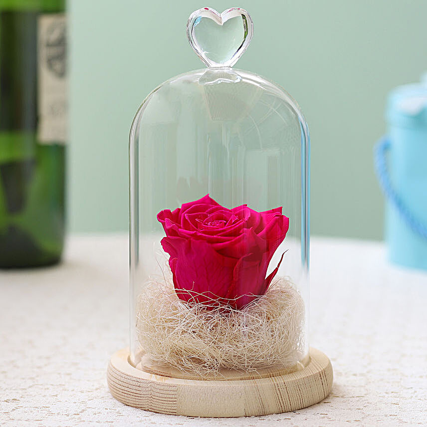 Forever Hot Pink Rose in Glass Dome