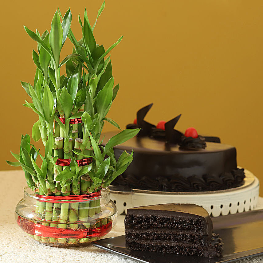 3 Layer Bamboo with Cake:Plants Delivery in Bhopal