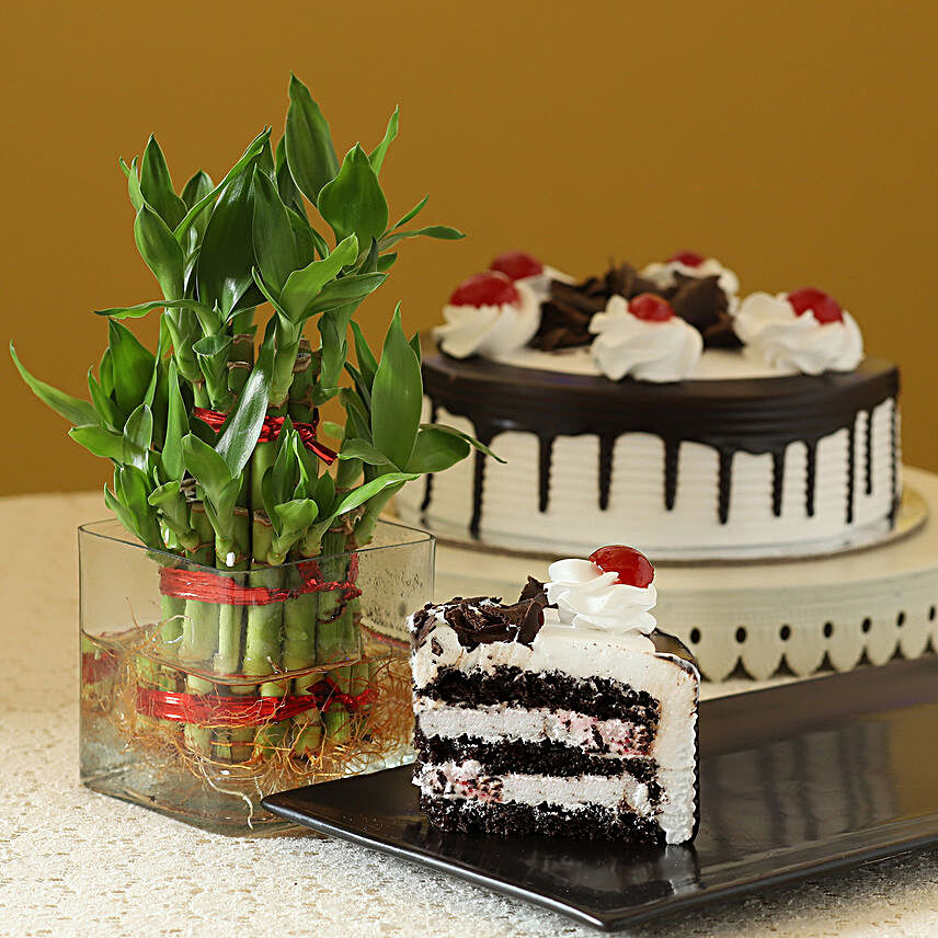 Blackforest cake with 2 Layer Bamboo:Cakes N Plants