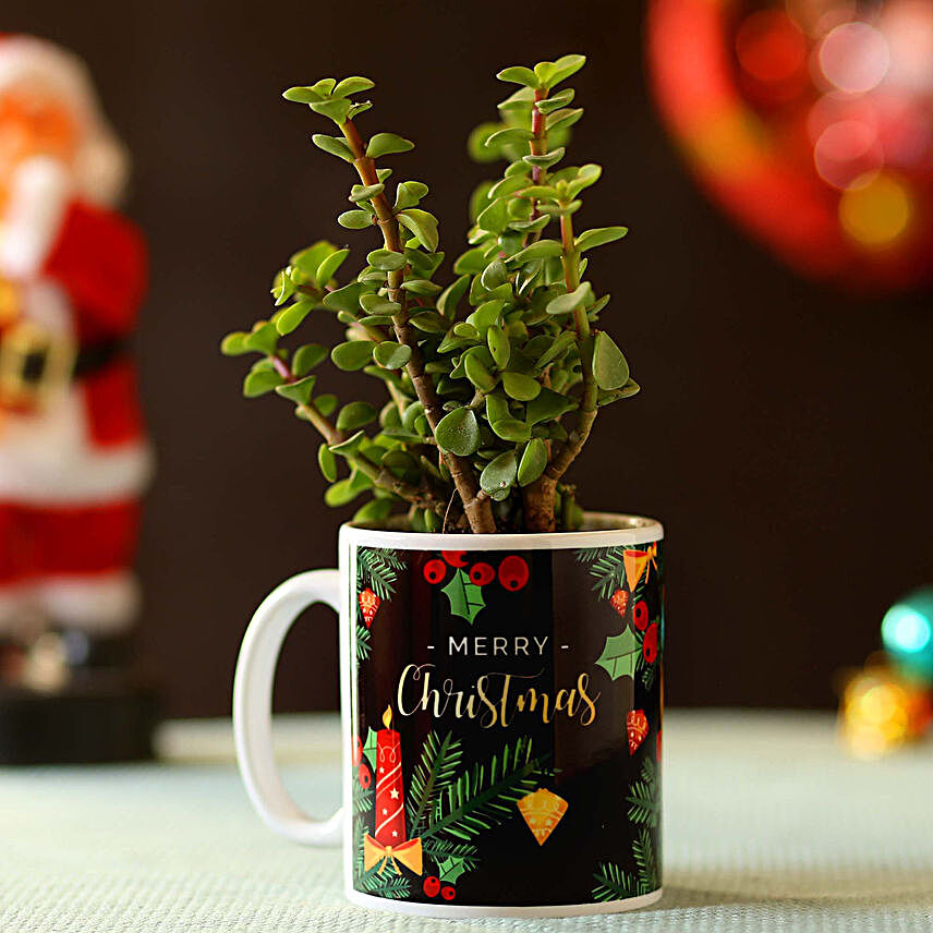 Christmas Printed Mug and Plant Combo Online:Secret Santa Gift Ideas