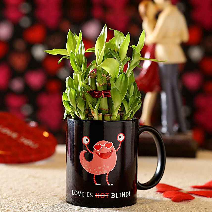 Lucky Bamboo In Quirky Love Bug Mug