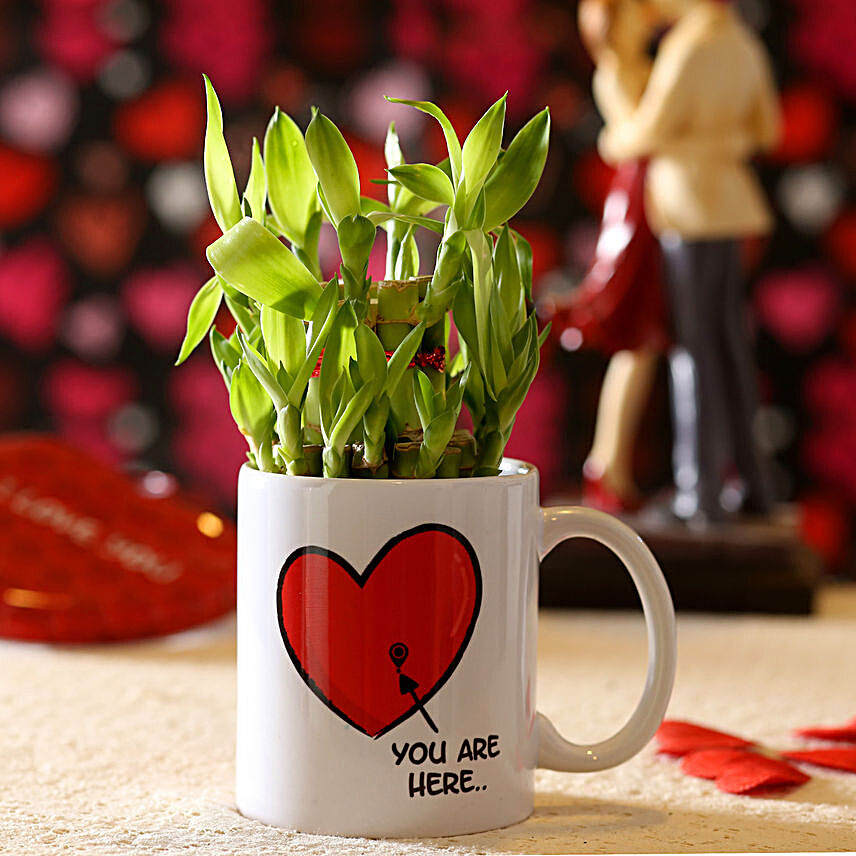 Lucky Bamboo You Are My Valentine's Mug