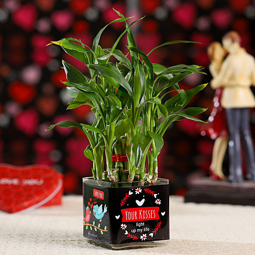 2 Layer Bamboo Plant For Kiss Day