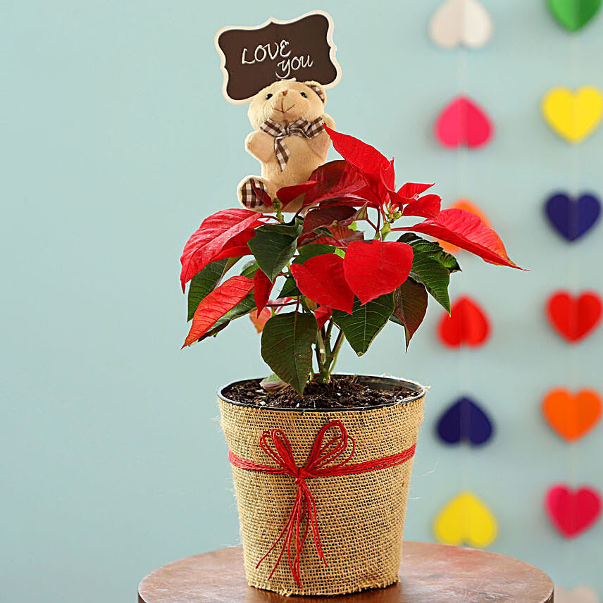 Red Poinsettia Plant Teddy Day Combo