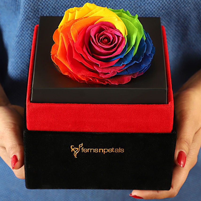 Big Forever Rainbow Rose in Black Velvet Box