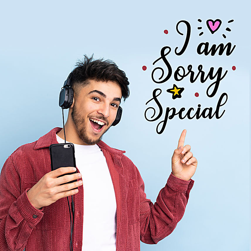 I Am Sorry Songs By Professional Male Singer