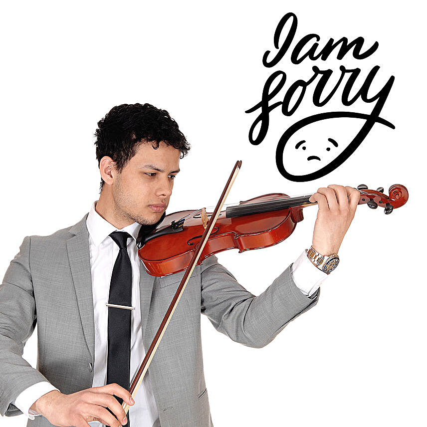 I Am Sorry Violin Tunes:Violinist On call