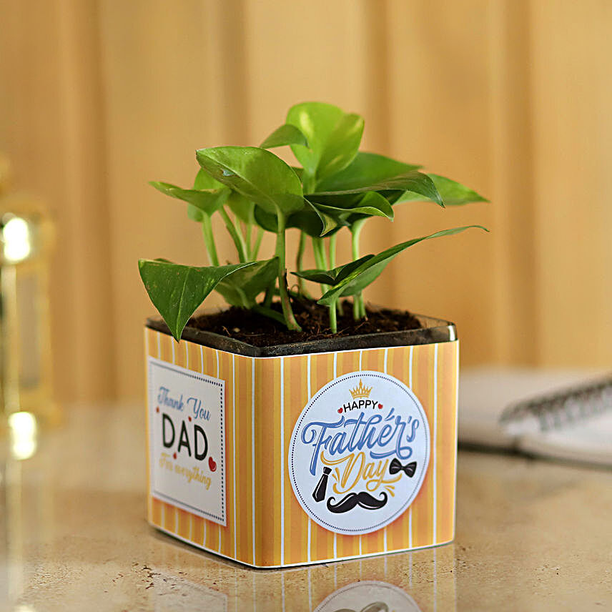 Money Plant For Dad:All Gifts For Fathers Day