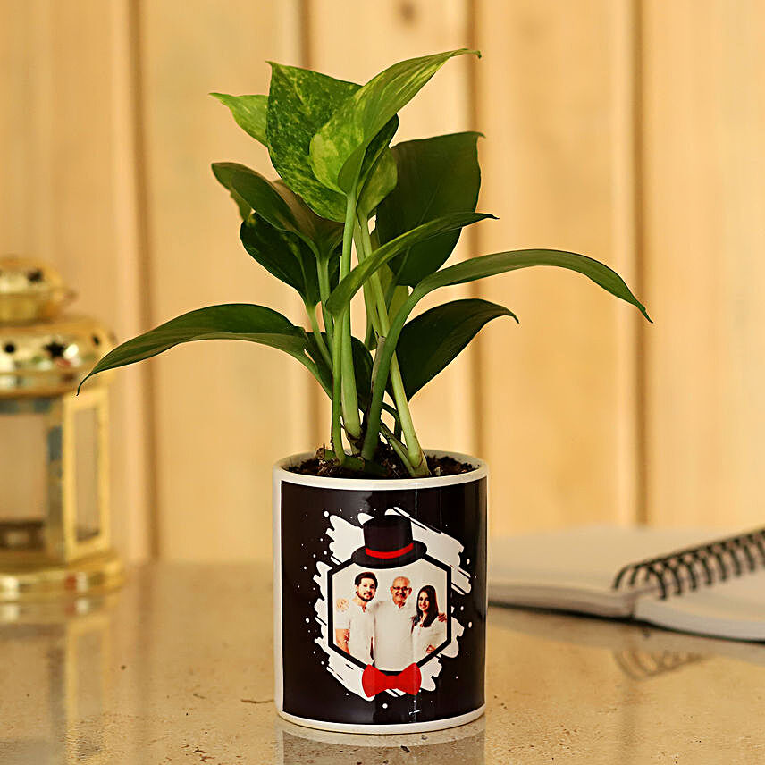 Money Plant In Personalised Pot For Dad:Father's Day Plants