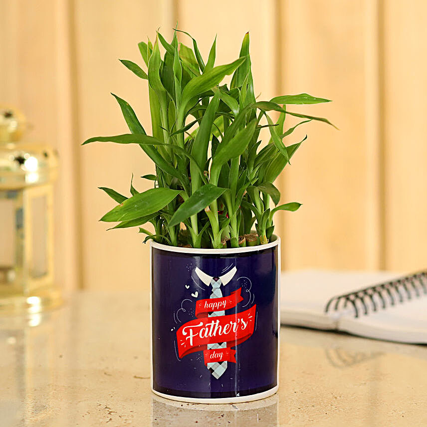 Two Layer Bamboo Plant In Father's Day Mug