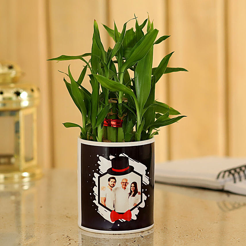 Bamboo Plant In Personalised Pot For Dad