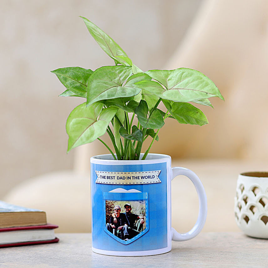 plant with mug planter for fathers day