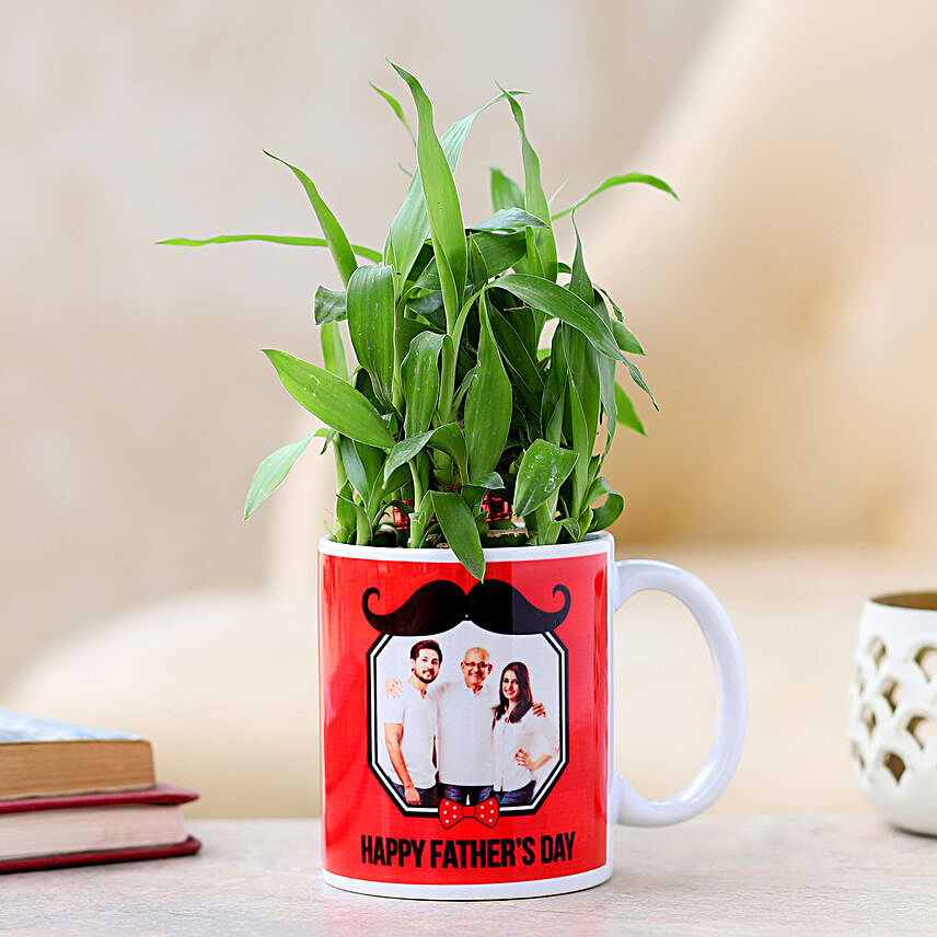 Personalised 2 Layer Bamboo Plant For Dad